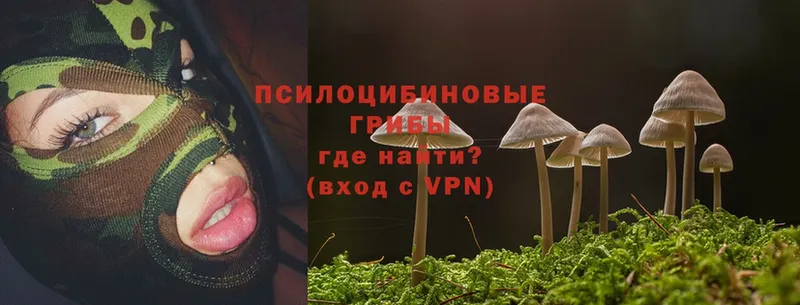 мориарти официальный сайт  Улан-Удэ  Псилоцибиновые грибы Magic Shrooms 